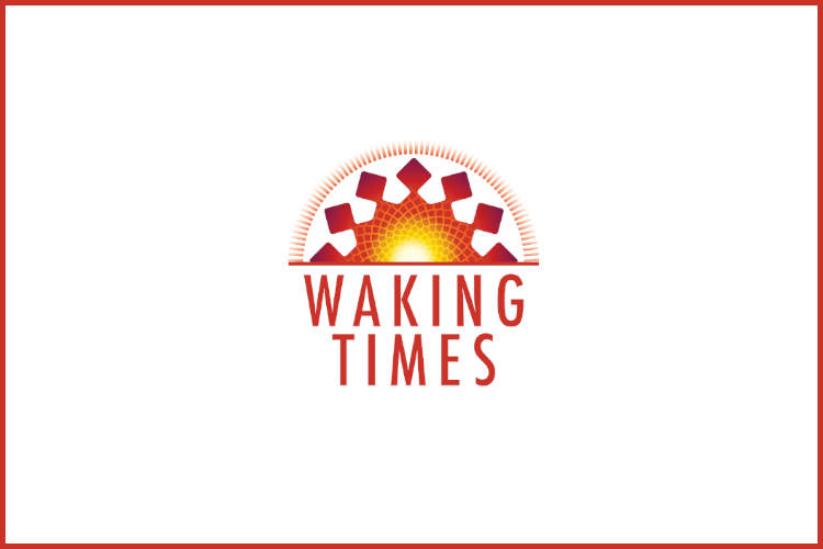 WIKI - Alone - Waking Times