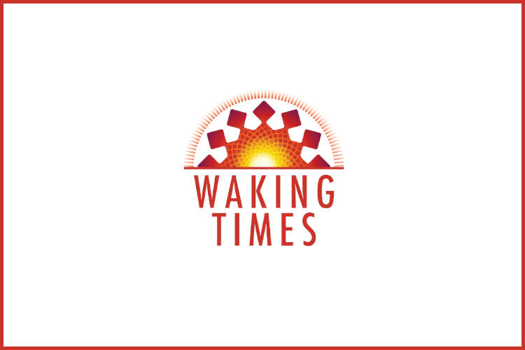 big-bang-theory - Waking Times